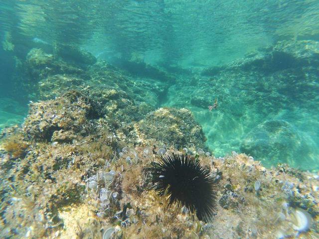 taxiboat-underwater