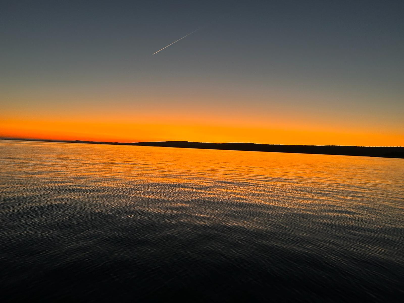 Taxi-Boat-sunset-with-dolphins